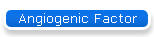 Angiogenic Factor