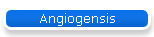 Angiogensis
