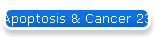 Apoptosis & Cancer 23