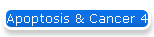 Apoptosis & Cancer 4