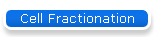 Cell Fractionation