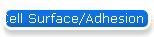 Cell Surface/Adhesion 8