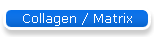 Collagen / Matrix