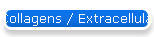 Collagens / Extracellular Matrix Proteins 2
