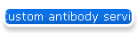 Custom antibody service