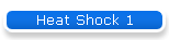 Heat Shock 1