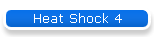 Heat Shock 4