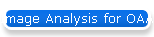 Image Analysis for OAAS