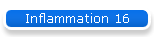 Inflammation 16