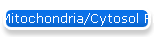 Mitochondria/Cytosol Fractionation
