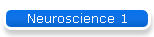 Neuroscience 1
