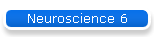 Neuroscience 6