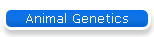 Animal Genetics