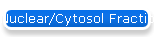 Nuclear/Cytosol Fractionation