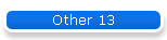 Other 13