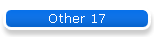 Other 17