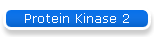 Protein Kinase 2