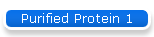 Purified Protein 1