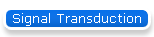Signal Transduction