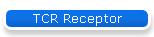 TCR Receptor