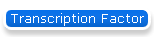 Transcription Factor