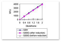 Lactate Assay Kit Amount Fig. 1